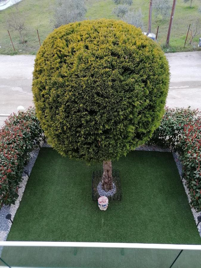 Bella Casa Apartment Nea Peramos (Macedonia)